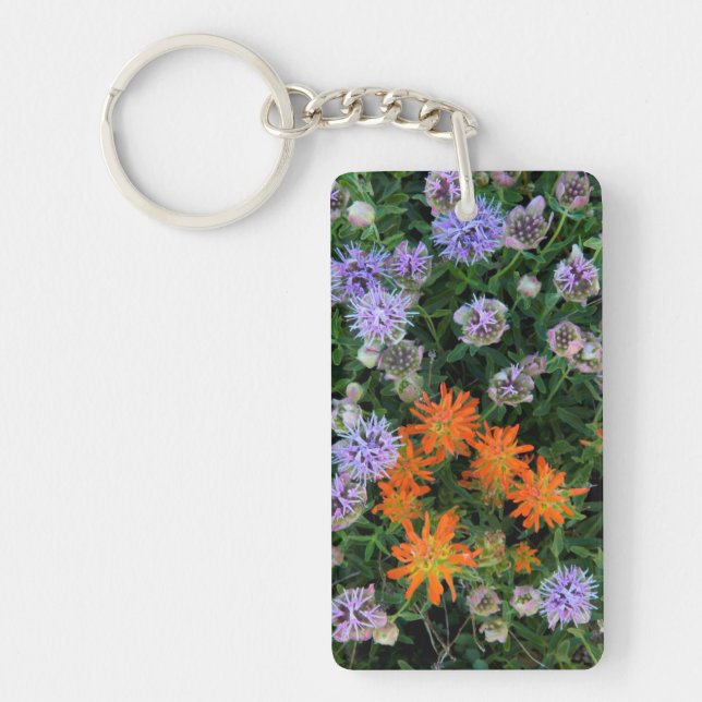 USA, Utah, Uinta-Wasatch-Cache National Forest 3 Key Ring (Front)