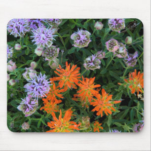 USA, Utah, Uinta-Wasatch-Cache National Forest 3 Mouse Pad