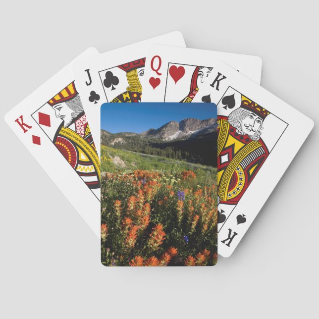 USA, Utah, Uinta-Wasatch-Cache National Forest Playing Cards (Back)