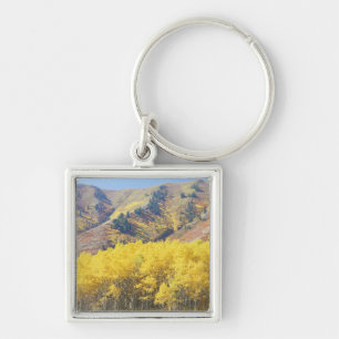 USA, Utah, Wasatch-Cache National Forest, Key Ring