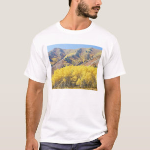 USA, Utah, Wasatch-Cache National Forest, T-Shirt