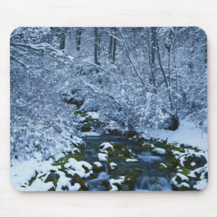 USA, Utah, Wasatch-Catch National Forest, Mouse Pad
