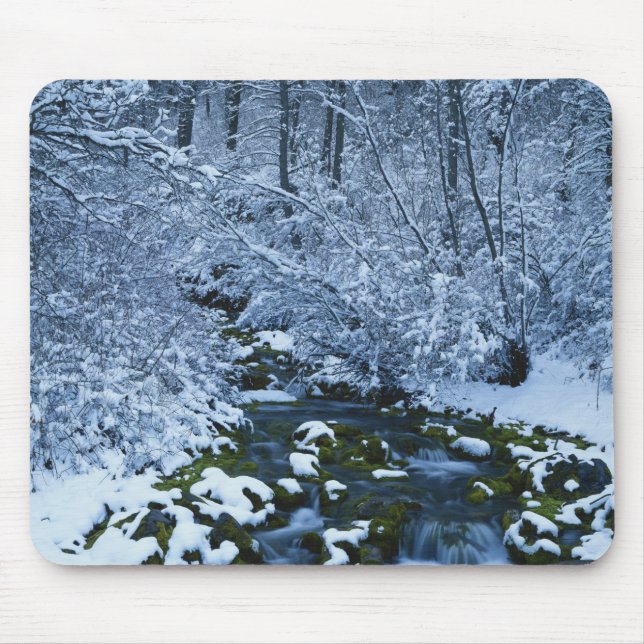 USA, Utah, Wasatch-Catch National Forest, Mouse Pad (Front)
