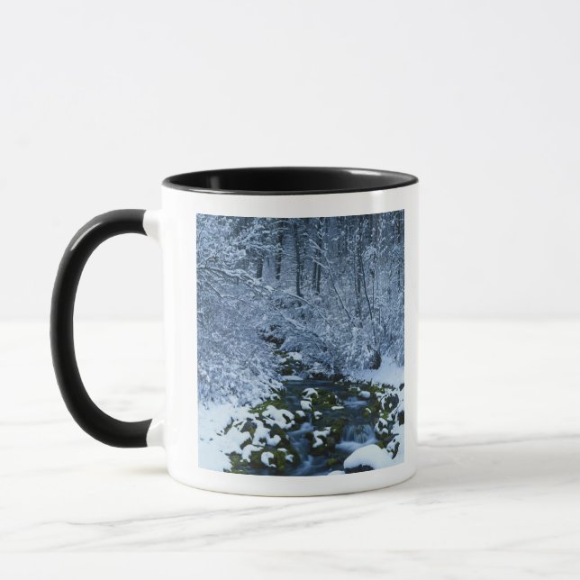 USA, Utah, Wasatch-Catch National Forest, Mug (Left)