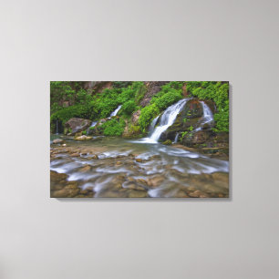 USA, Utah, Zion National Park. Big Springs in Canvas Print