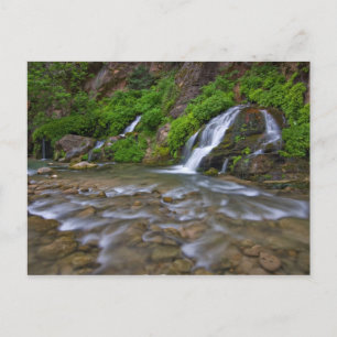 USA, Utah, Zion National Park.  Big Springs in Postcard