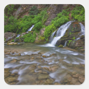 USA, Utah, Zion National Park.  Big Springs in Square Sticker
