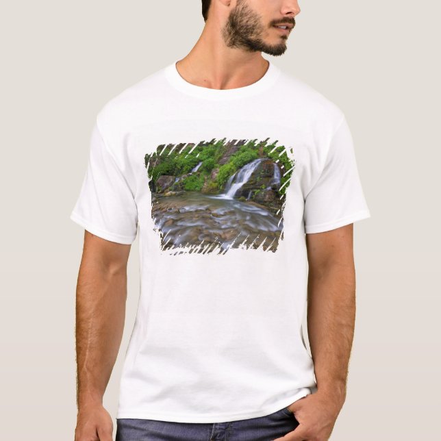 USA, Utah, Zion National Park.  Big Springs in T-Shirt (Front)