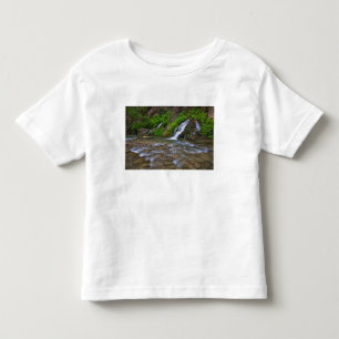 USA, Utah, Zion National Park. Big Springs in Toddler T-Shirt