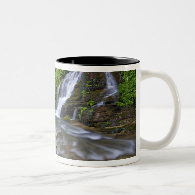 USA, Utah, Zion National Park.  Big Springs in Two-Tone Coffee Mug (Right)