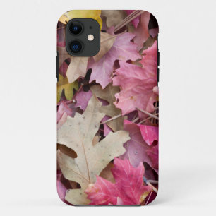 USA, Utah, Zion National Park Case-Mate iPhone Case