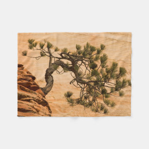 USA, Utah, Zion National Park. Pine tree Fleece Blanket
