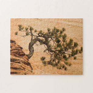 USA, Utah, Zion National Park. Pine tree Jigsaw Puzzle