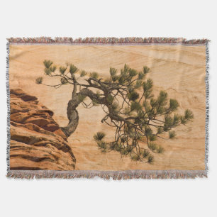 USA, Utah, Zion National Park. Pine tree Throw Blanket