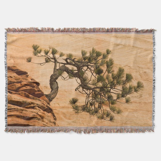 USA, Utah, Zion National Park. Pine tree Throw Blanket (Front)