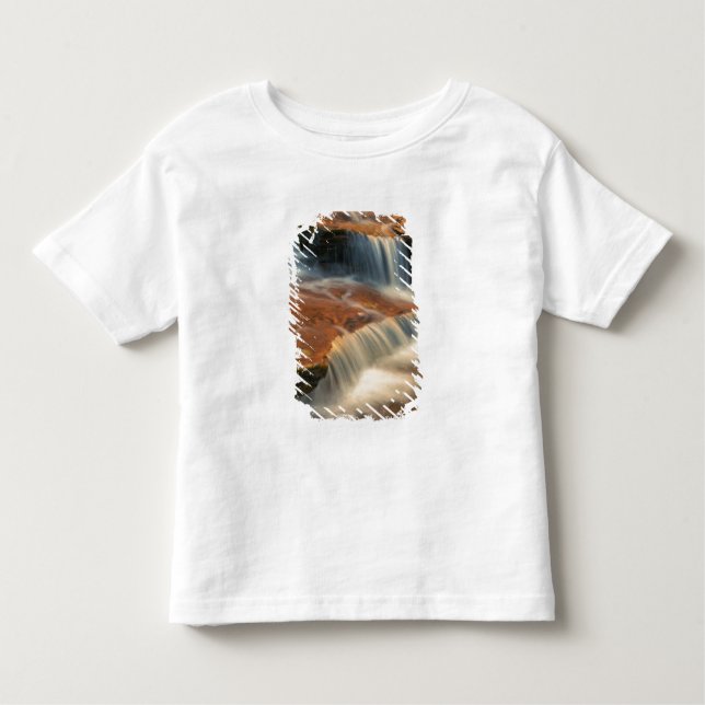 USA, Utah, Zion National Park. Scenic from 2 Toddler T-Shirt (Front)