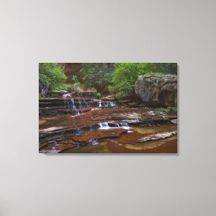 USA, Utah, Zion National Park. Scenic from 4 Canvas Print