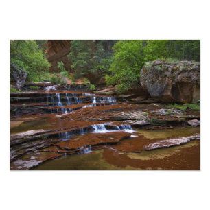 USA, Utah, Zion National Park. Scenic from 4 Photo Print