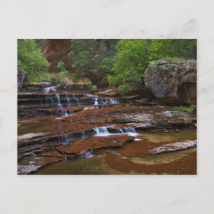 USA, Utah, Zion National Park. Scenic from 4 Postcard