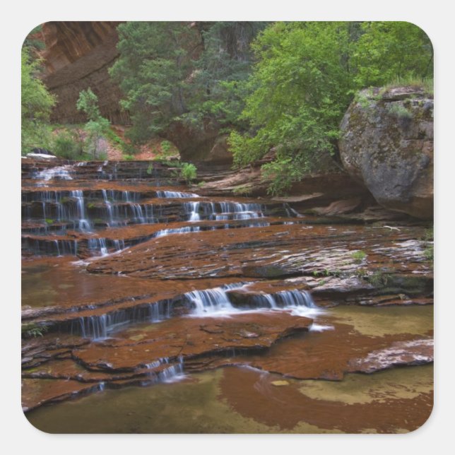 USA, Utah, Zion National Park. Scenic from 4 Square Sticker (Front)