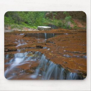 USA, Utah, Zion National Park. Scenic from Mouse Pad
