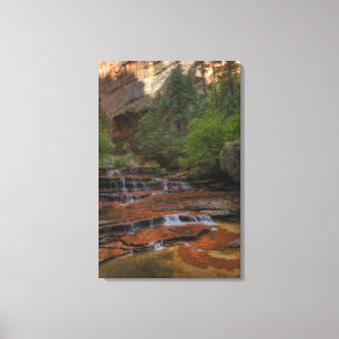 USA, Utah, Zion National Park. Scenic from the Canvas Print