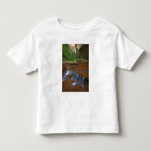 USA, Utah, Zion National Park. Scenic from Toddler T-Shirt