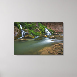 USA, Utah, Zion National Park. The Virgin Canvas Print