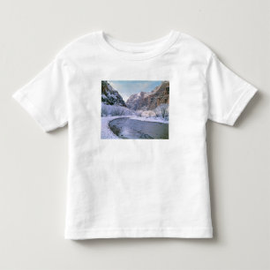 USA, Utah, Zion NP. New snow covers the canyon Toddler T-Shirt