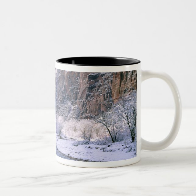 USA, Utah, Zion NP. New snow covers the canyon Two-Tone Coffee Mug (Right)