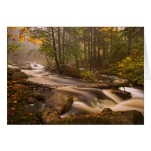 USA, Vermont, East Arlington, Flowing streams 2