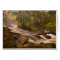 USA, Vermont, East Arlington, Flowing streams 2