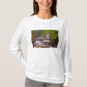 USA, Vermont, East Arlington, Flowing streams T-Shirt