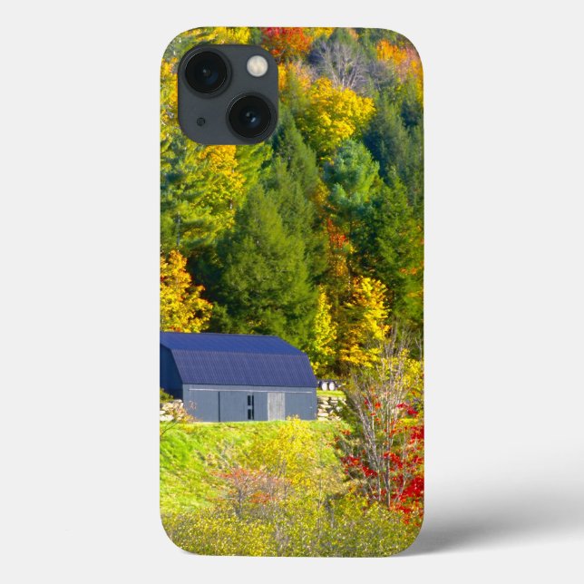 USA, Vermont. Fall foilage along Highway 100. Case-Mate iPhone Case (Back)