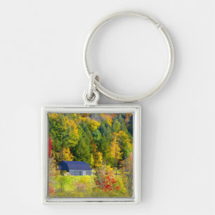 USA, Vermont. Fall foilage along Highway 100. Key Ring