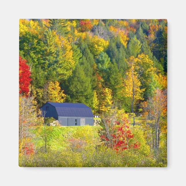 USA, Vermont. Fall foilage along Highway 100. Magnet (Front)