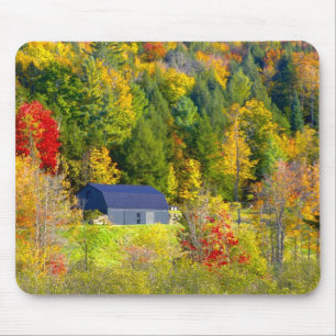 USA, Vermont. Fall foilage along Highway 100. Mouse Pad