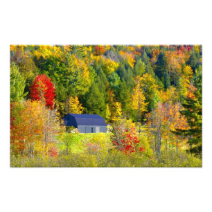 USA, Vermont. Fall foilage along Highway 100. Photo Print