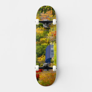 USA, Vermont. Fall foilage along Highway 100. Skateboard