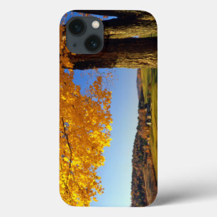 USA, Vermont. Farm Scenic Near South Woodstock iPhone 13 Case