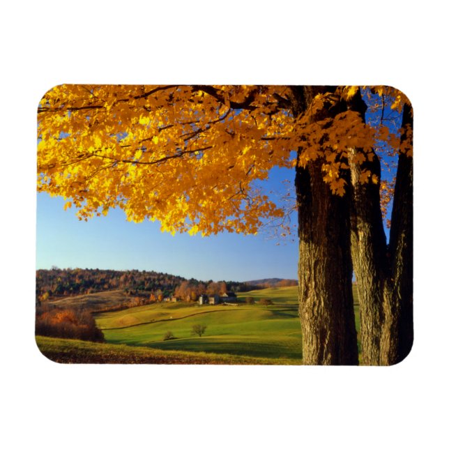 USA, Vermont. Farm Scenic Near South Woodstock Magnet (Horizontal)