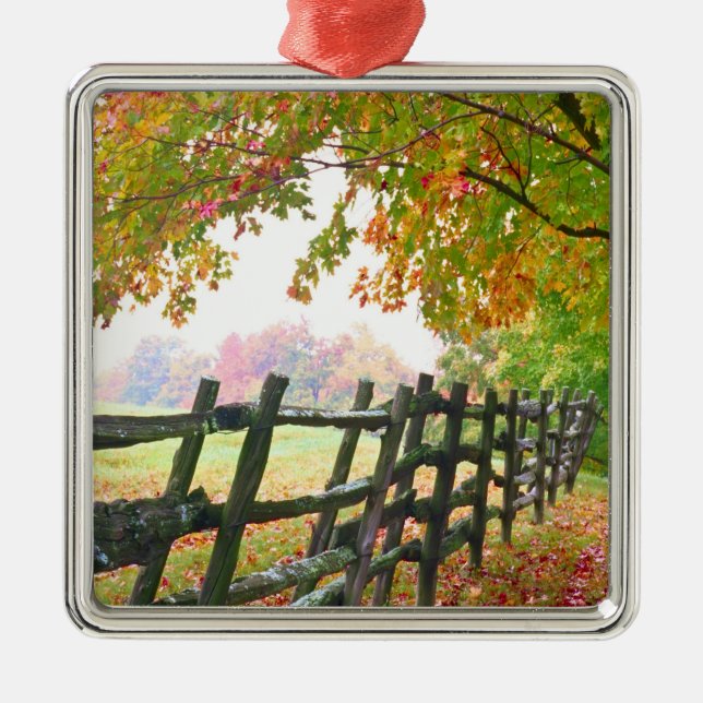 USA, Vermont. Fence under fall foliage. Metal Tree Decoration (Front)