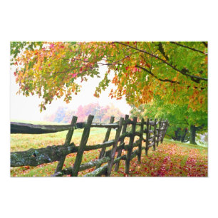 USA, Vermont. Fence under fall foliage. Photo Print