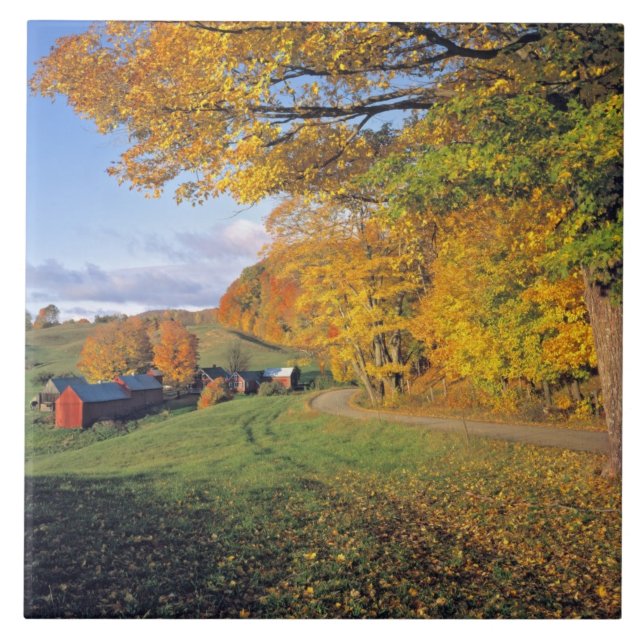 USA, Vermont, Jenne Farm. Fall comes to Jenne Tile (Front)