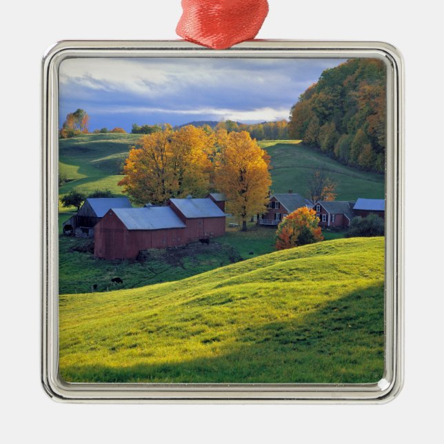 USA, Vermont, Jenne Farm. Rolling green hills Metal Tree Decoration (Front)