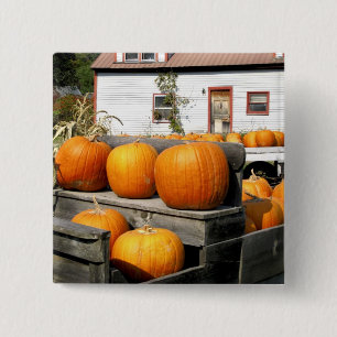 USA, Vermont. Pumpkins 15 Cm Square Badge