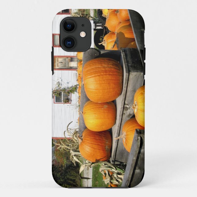 USA, Vermont. Pumpkins Case-Mate iPhone Case (Back)