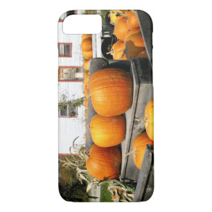 USA, Vermont. Pumpkins Case-Mate iPhone Case