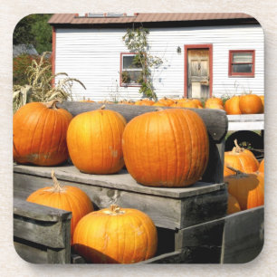 USA, Vermont. Pumpkins Coaster