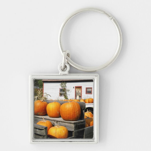 USA, Vermont. Pumpkins Key Ring (Front)